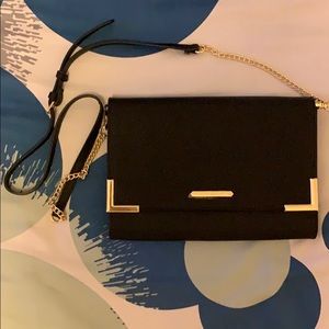 NWT STEVE MADDEN Bshannon clutch